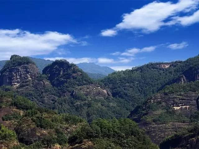 炎炎夏日｜武夷山看山玩水深度攻略