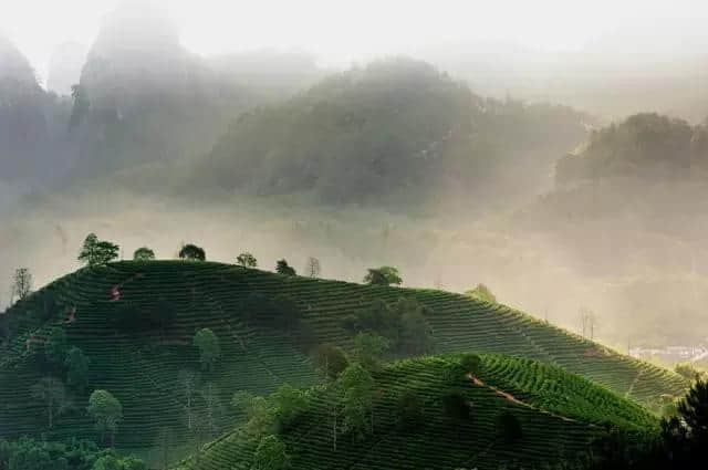 炎炎夏日｜武夷山看山玩水深度攻略