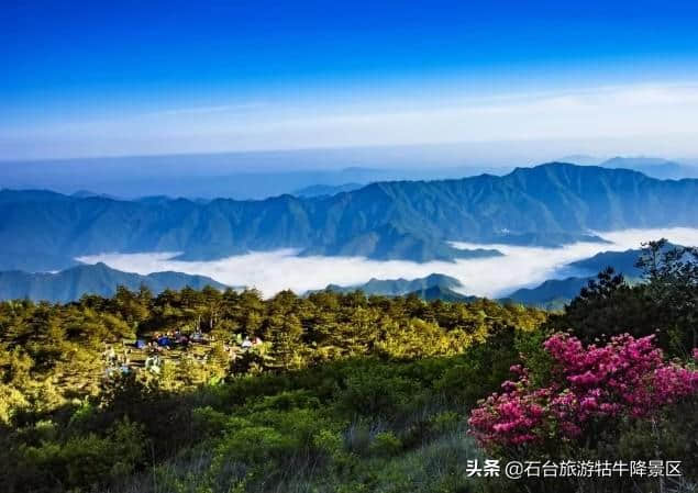 不爱江湖，爱青山