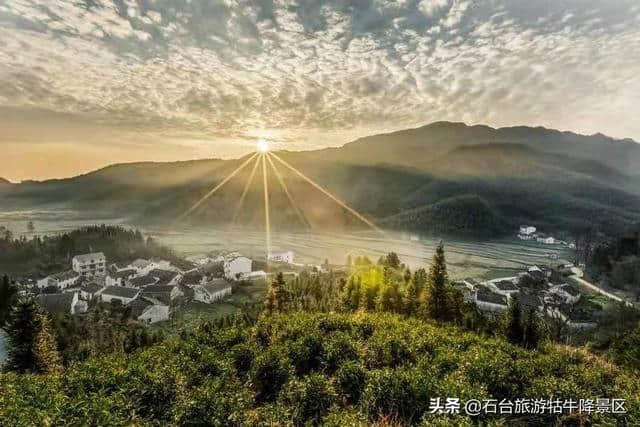 不爱江湖，爱青山