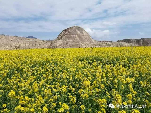 活力三塬：刘家峡全域旅游新选择