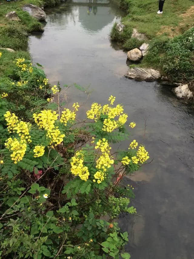 清远有条未开发的旅游路线，人特少，美得简直了