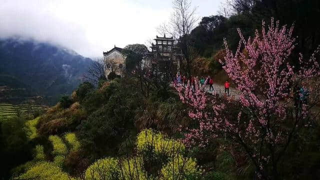 烟雨婺源美若仙境，他们雨中坚守只为一份承诺！