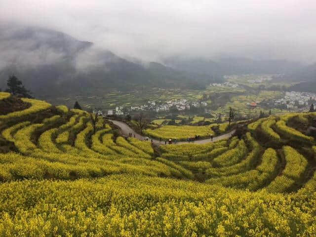 烟雨婺源美若仙境，他们雨中坚守只为一份承诺！