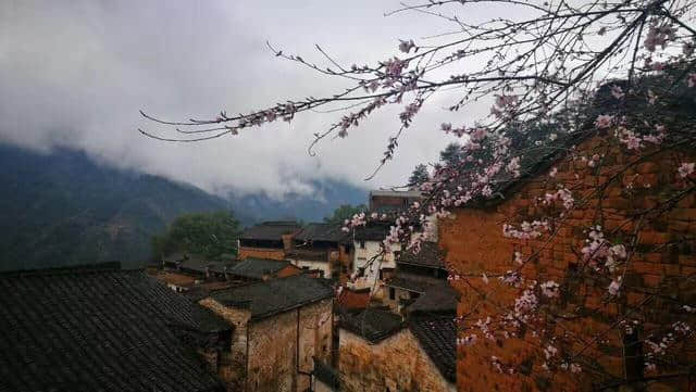 烟雨婺源美若仙境，他们雨中坚守只为一份承诺！