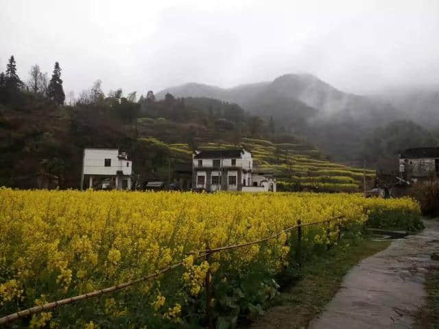 烟雨婺源美若仙境，他们雨中坚守只为一份承诺！