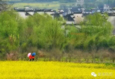 烟雨婺源美若仙境，他们雨中坚守只为一份承诺！