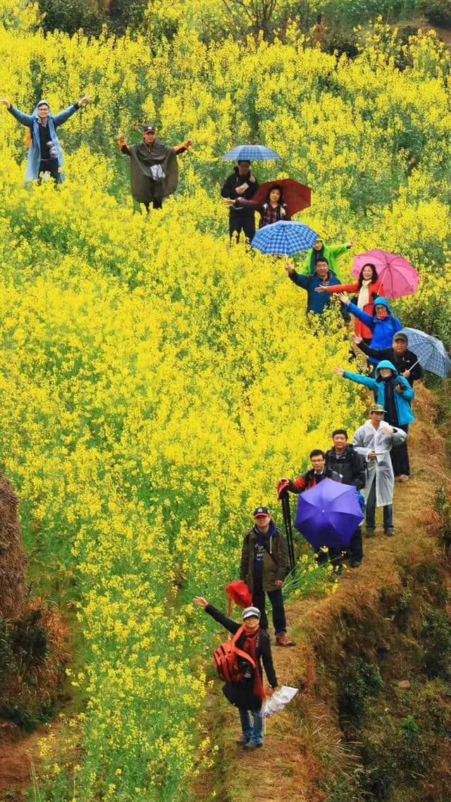 烟雨婺源美若仙境，他们雨中坚守只为一份承诺！