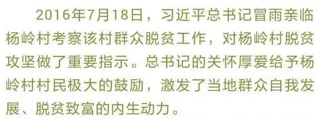 荒山绿了、村庄亮了、民风纯了，固原杨岭村美了！