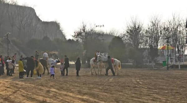 黄河塬休闲旅游区庙会开门红！热闹享不断，精彩看不停