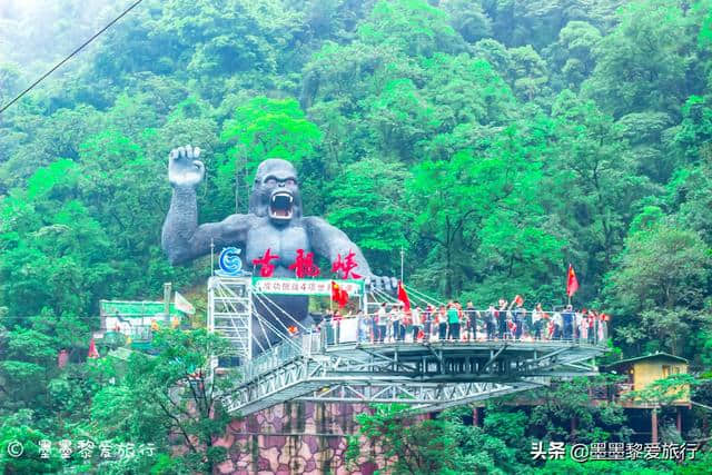 周末游玩清远，在古龙峡寻一场冒险之旅