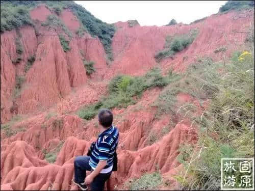 六盘山惊现一抹红！是谁打翻了调色板……