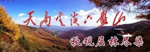 六盘山惊现一抹红！是谁打翻了调色板……