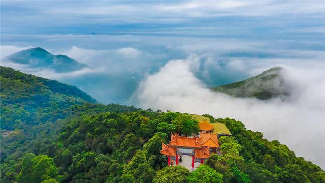 游山水享清凉，东莞观音山亲子玩趣多