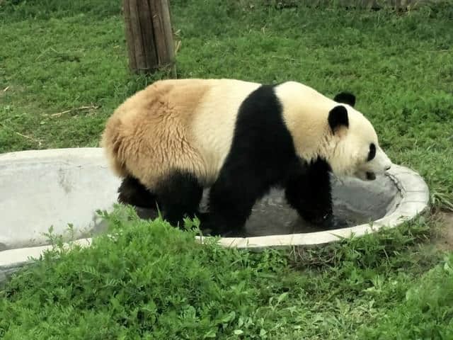 临沂10大必玩景点