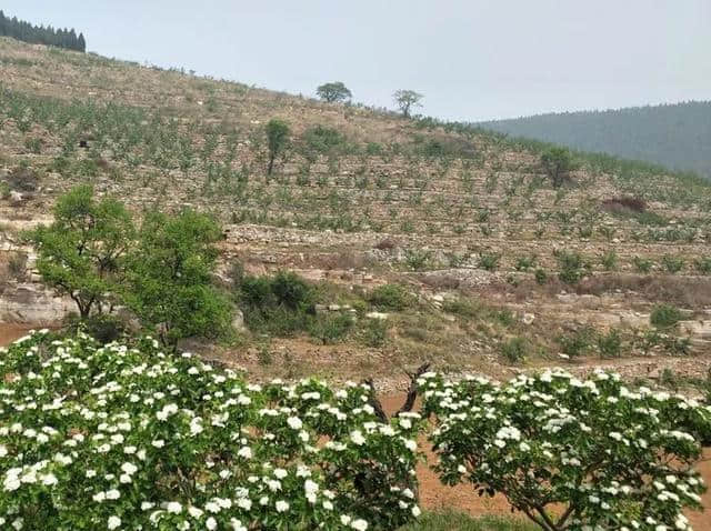 临朐乡村旅游的好去处——带你逛逛燕子崖燕窝农场