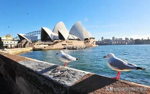 去澳大利亚旅游必去的几个景点