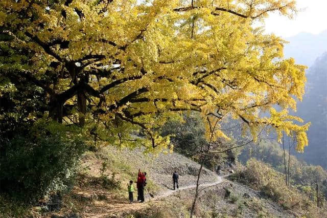 安康竟有这么多免费景点！好多安康人都不知道...