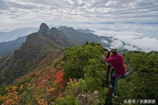 金秋旅游季｜国庆去哪儿？神奇岚皋绝对满足你对绚烂秋色的幻想！