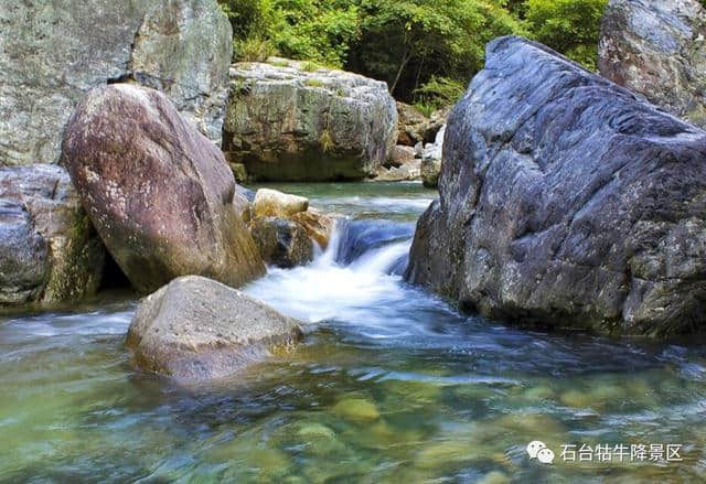 牯牛从天降丨峰岔入云中