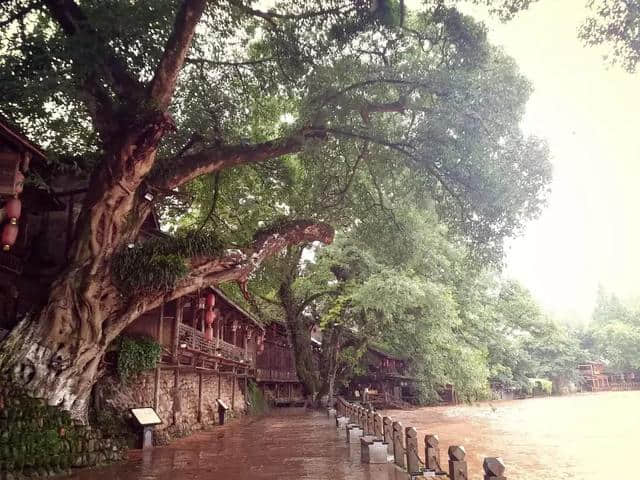 柳江古镇，一首烟雨里的诗