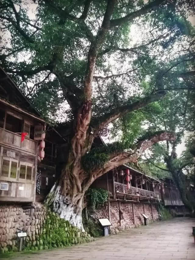 柳江古镇，一首烟雨里的诗