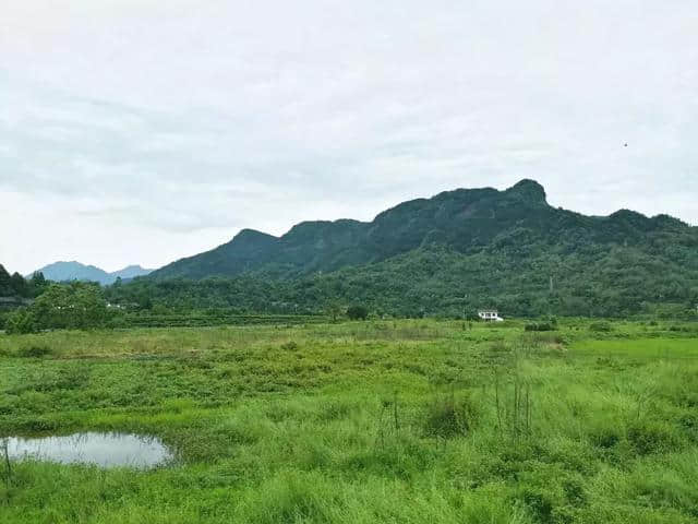 柳江古镇，一首烟雨里的诗