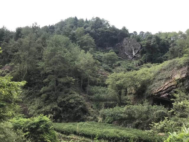 2018武夷山旅游攻略，自驾游/自由行/游玩攻略