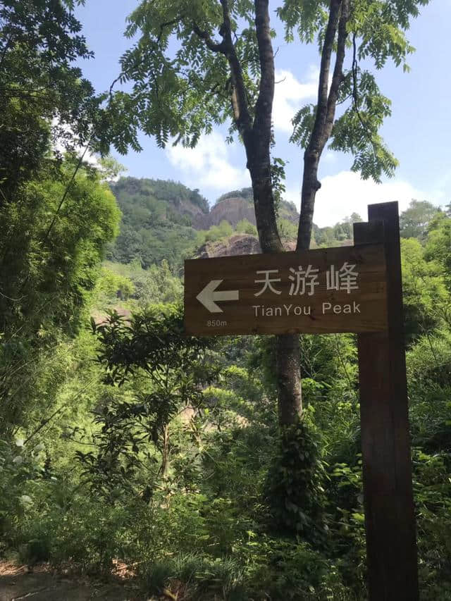 2018武夷山旅游攻略，自驾游/自由行/游玩攻略