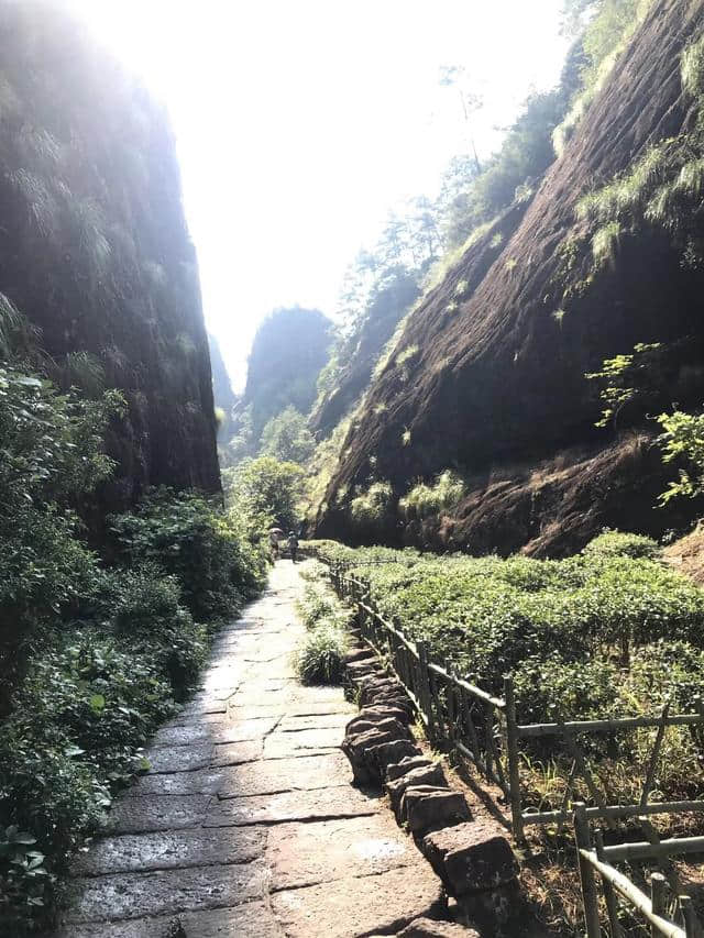 2018武夷山旅游攻略，自驾游/自由行/游玩攻略