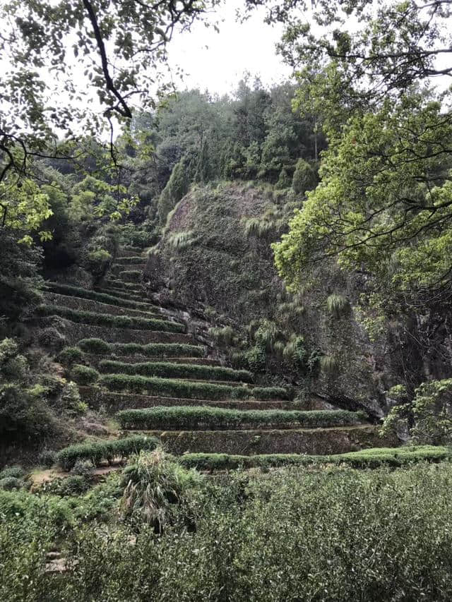 2018武夷山旅游攻略，自驾游/自由行/游玩攻略