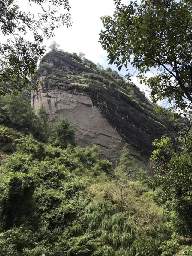 2018武夷山旅游攻略，自驾游/自由行/游玩攻略