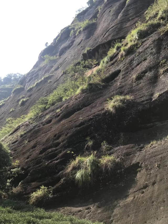 2018武夷山旅游攻略，自驾游/自由行/游玩攻略