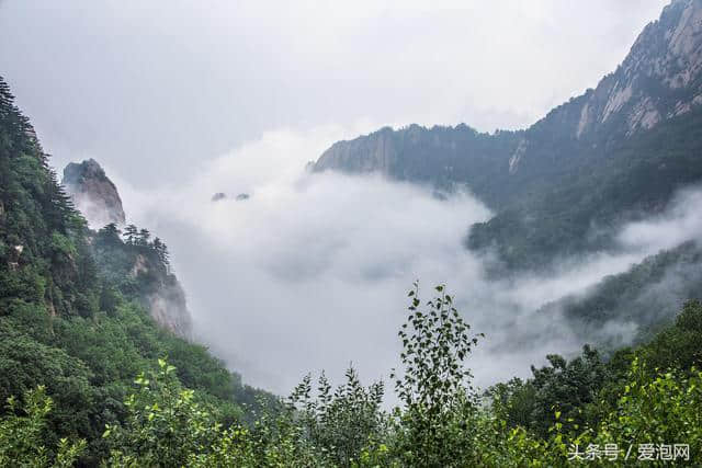 河北兴隆雾灵山，一个美得让人窒息的地方