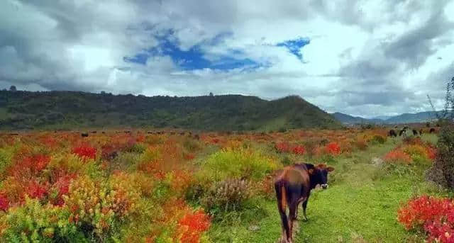 最适合情侣旅游的10个地方，每年带我去一个，可好？