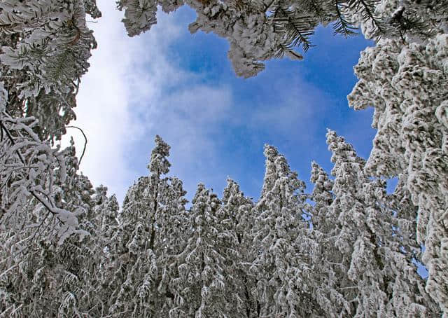 圈满猪肥、瑞雪丰年，这才是冬季游武隆的奥秘