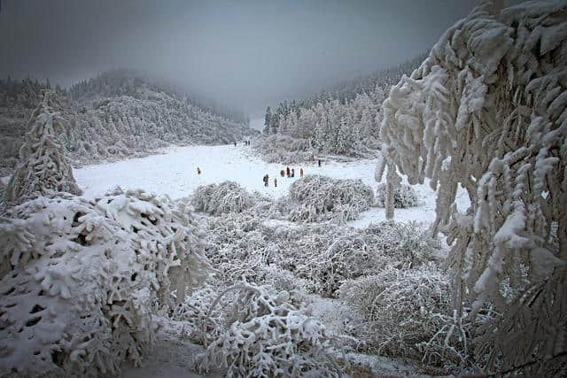 圈满猪肥、瑞雪丰年，这才是冬季游武隆的奥秘