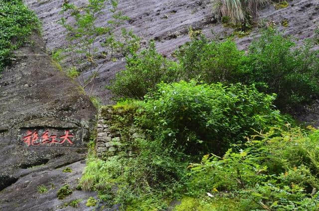 武夷山旅游需几天，必玩景点及行程攻略大全