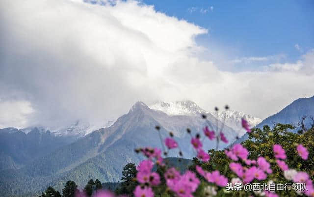 林芝，落两肩花香，不负春光，不负流年