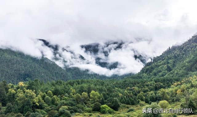 林芝，落两肩花香，不负春光，不负流年