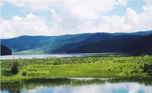 暑假云南冷门旅游：香格里拉，丽江古城，玉龙雪山，罗平螺丝田