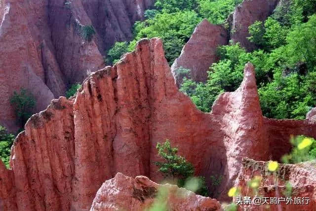 五一出游推荐“丹霞地貌”红石谷，此景全国罕见，河南仅有。