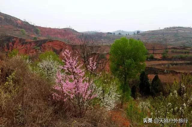 五一出游推荐“丹霞地貌”红石谷，此景全国罕见，河南仅有。