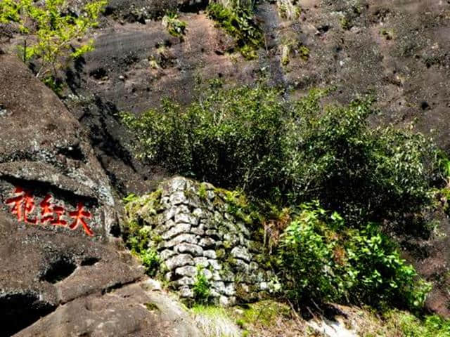 领略“世界双遗产”风光 武夷山三日游攻略