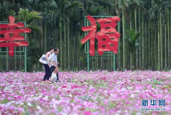 海南琼海：花海芬芳引游人