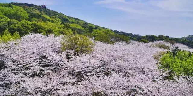 清明节去哪儿玩？这10个地方就够啦！