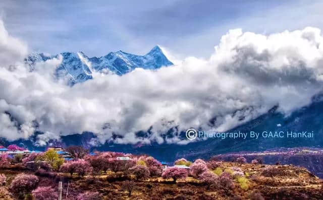 邂逅2019最美春天一林芝