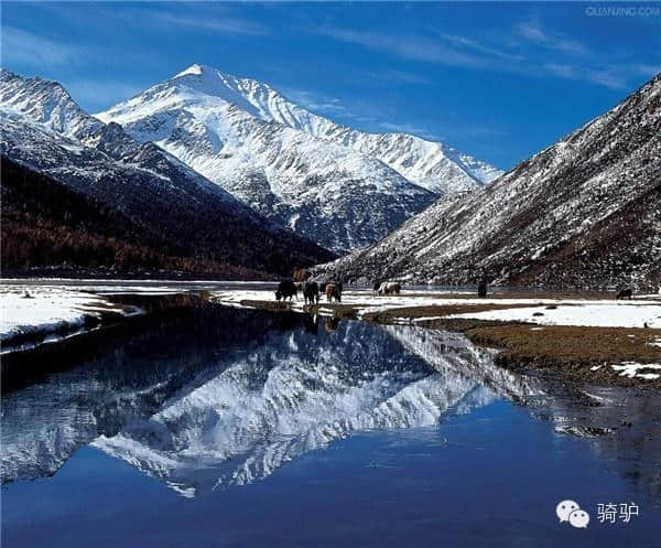 这才是四川最美旅行时间表,全都都美哭了