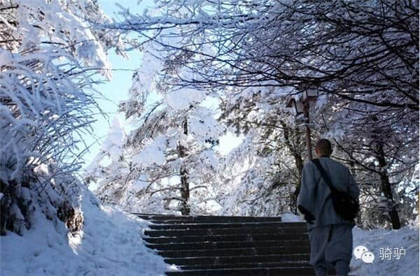 这才是四川最美旅行时间表,全都都美哭了