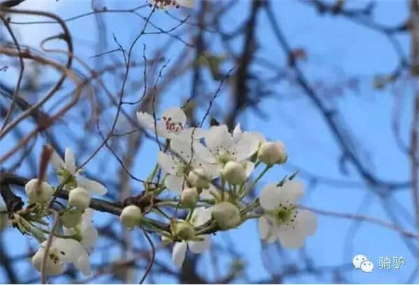 这才是四川最美旅行时间表,全都都美哭了